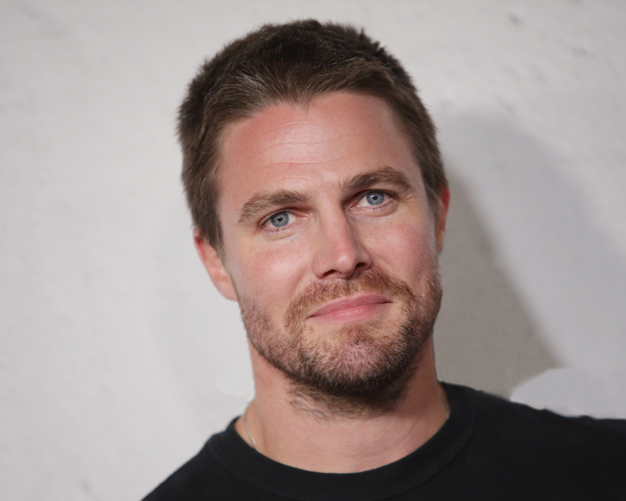 Канадский актер Стивен Амелл