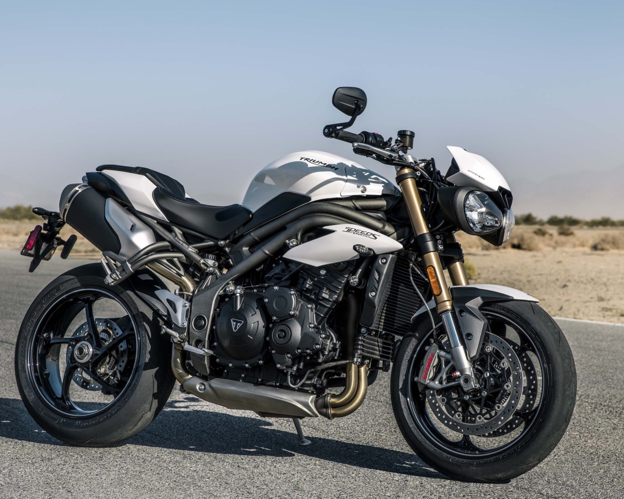 Мотоцикл Triumph Speed Triple S, 2018 на трассе