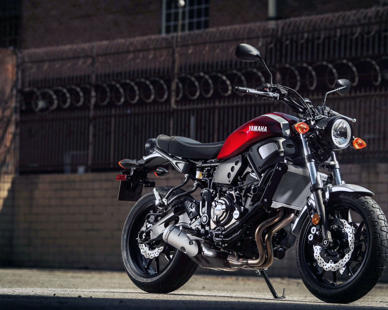 Большой мотоцикл  Yamaha XSR700, 2018