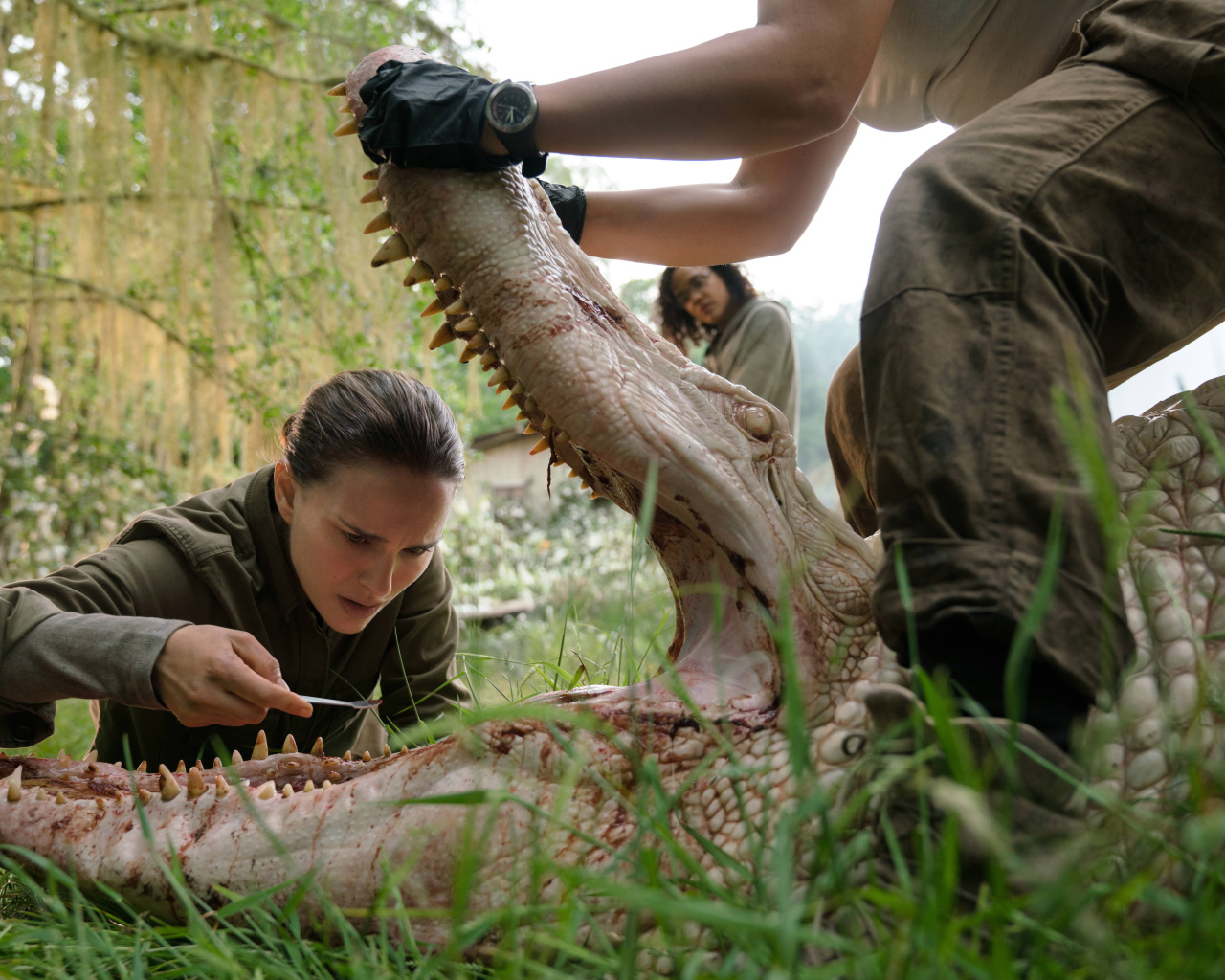 Кадр из фильма Аннигиляция, 2018