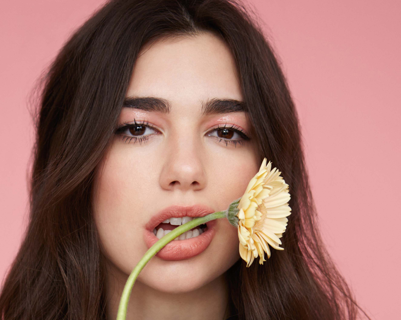 Певица Дуа Липа с цветком герберы во рту