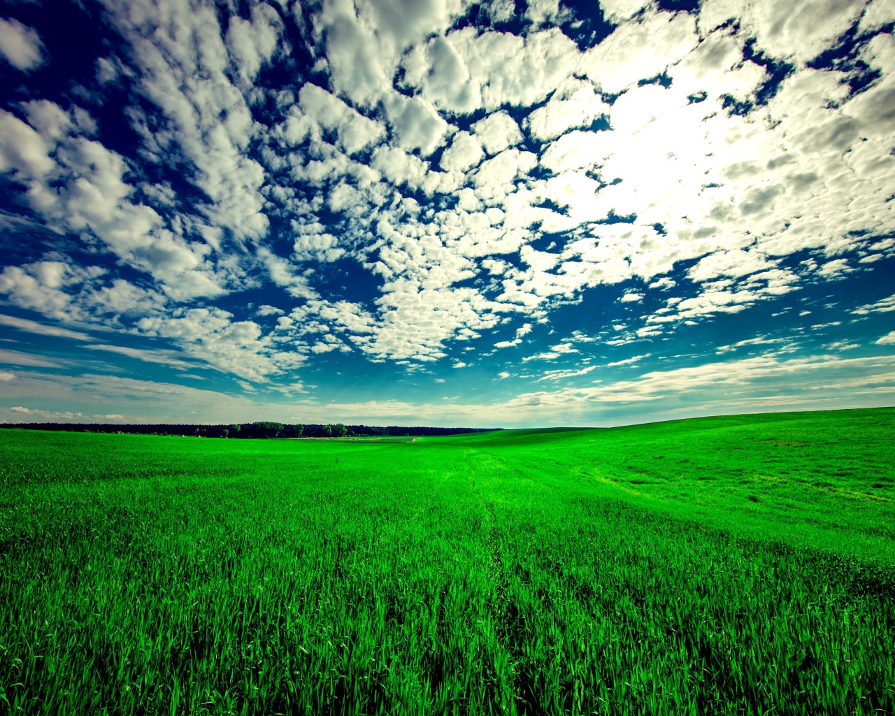 Красивые белые облака в голубом небе над зеленым полем