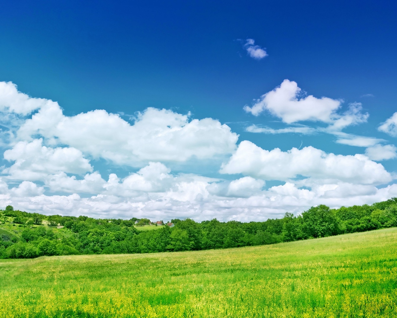 Голубое небо с белыми облаками над зеленым полем 