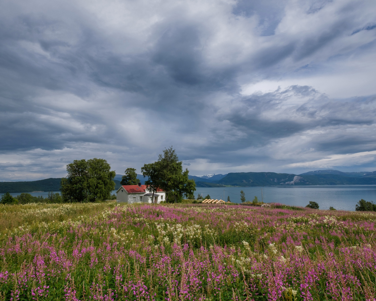 Пасмурное небо над озером и полем с красивыми цветами 