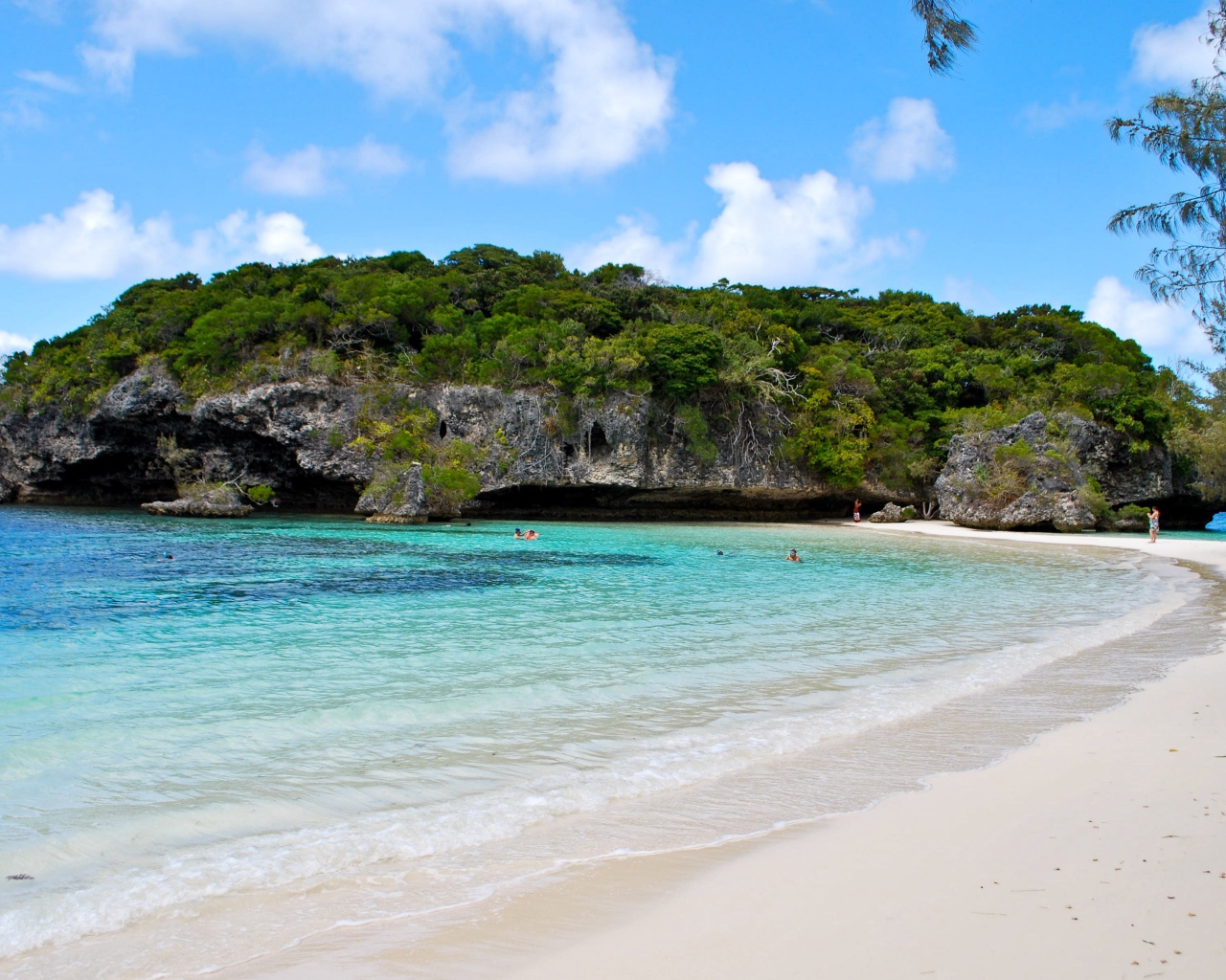 Покрытая зеленью сказала около пляжа на морском берегу 