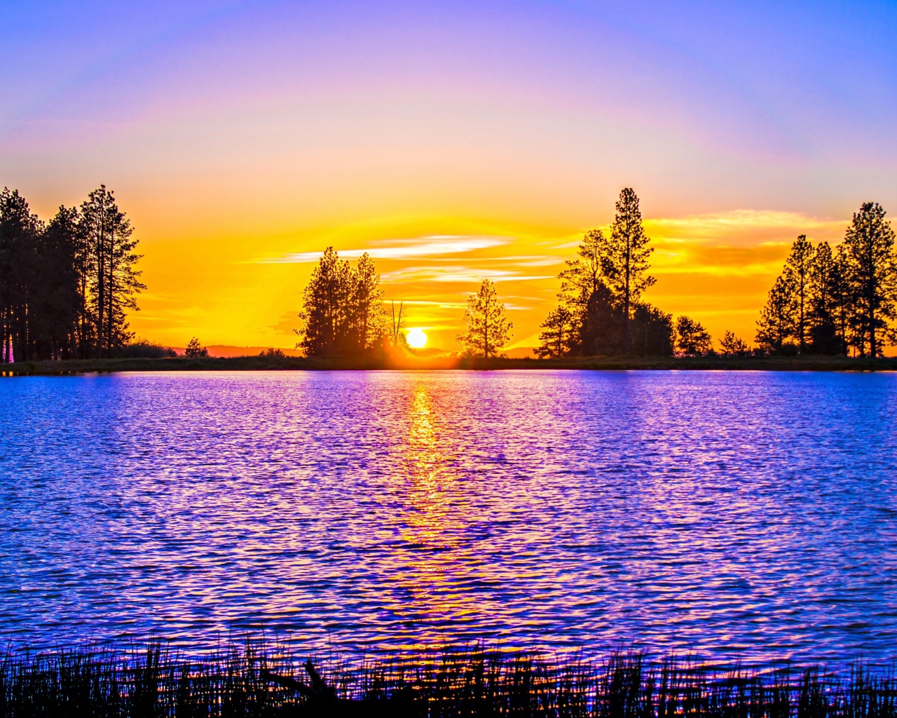 Рассвет яркого солнца над рекой