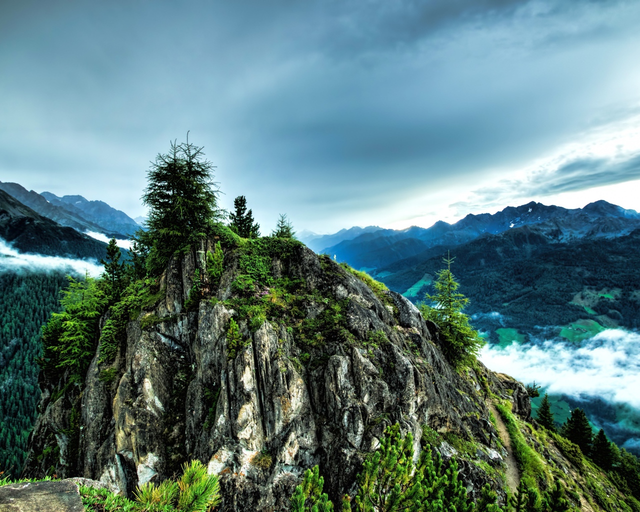 Ели на вершине скалы под  пасмурным небом 