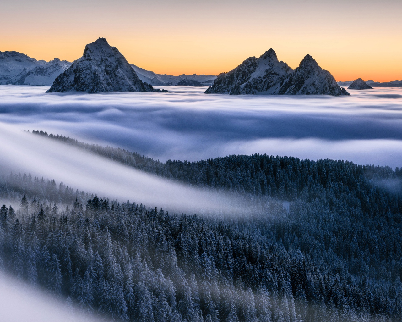 Туман покрывает лес и заснеженные верхушки гор