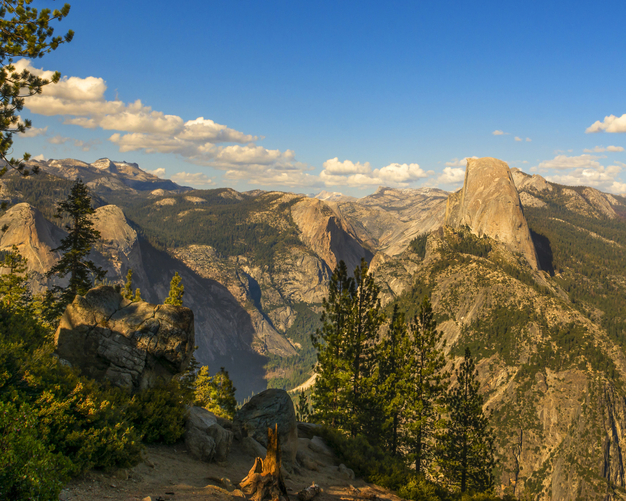 Покрытые лесом горы под голубым небом 