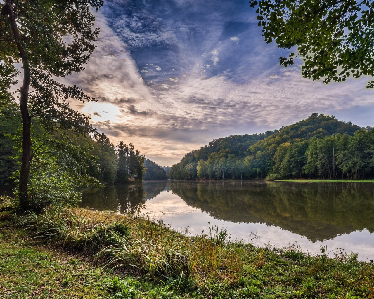 Зеленые деревья на берегу реки под красивым небом