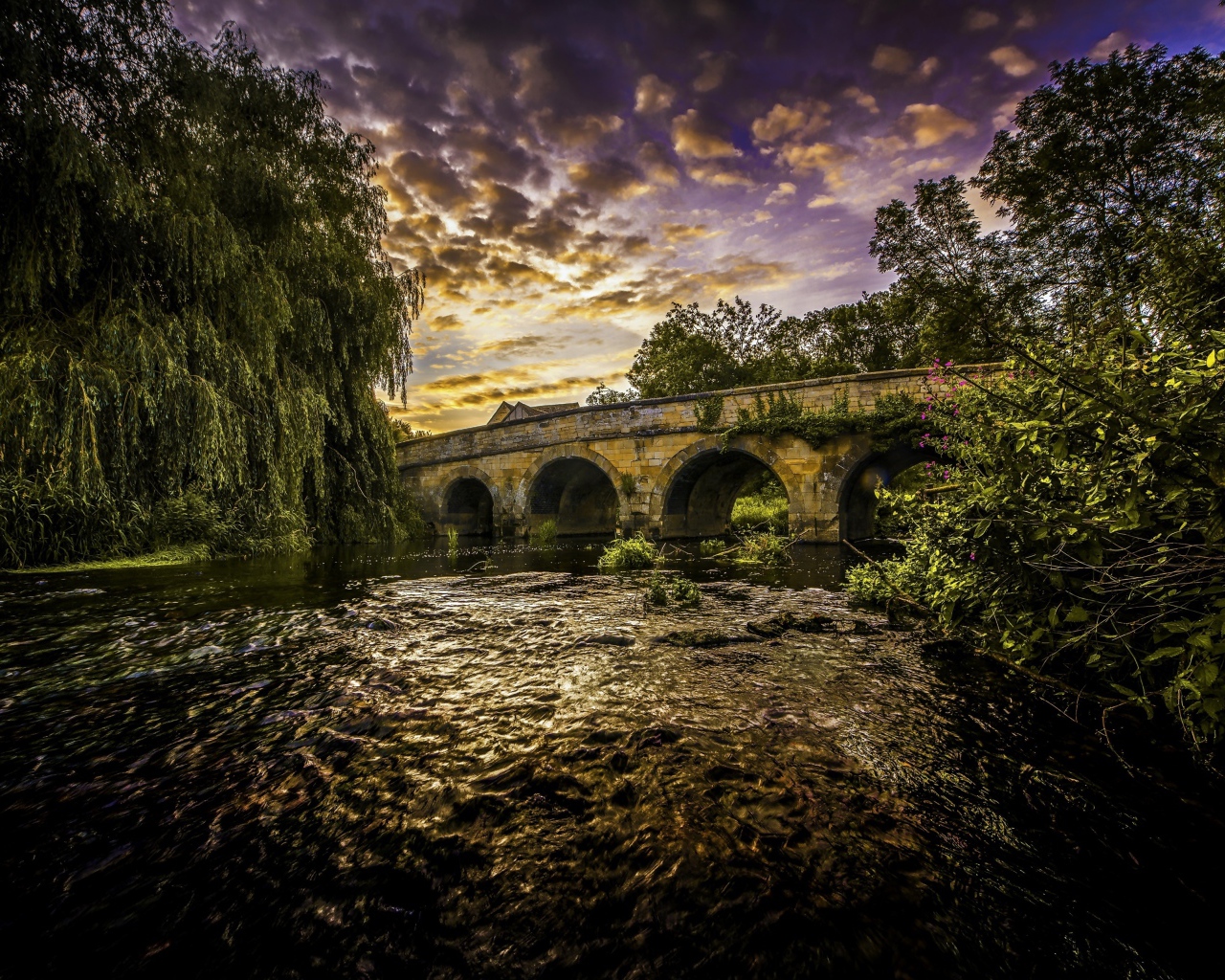 Зеленые ивы на берегу реки у старого моста под красивым небом