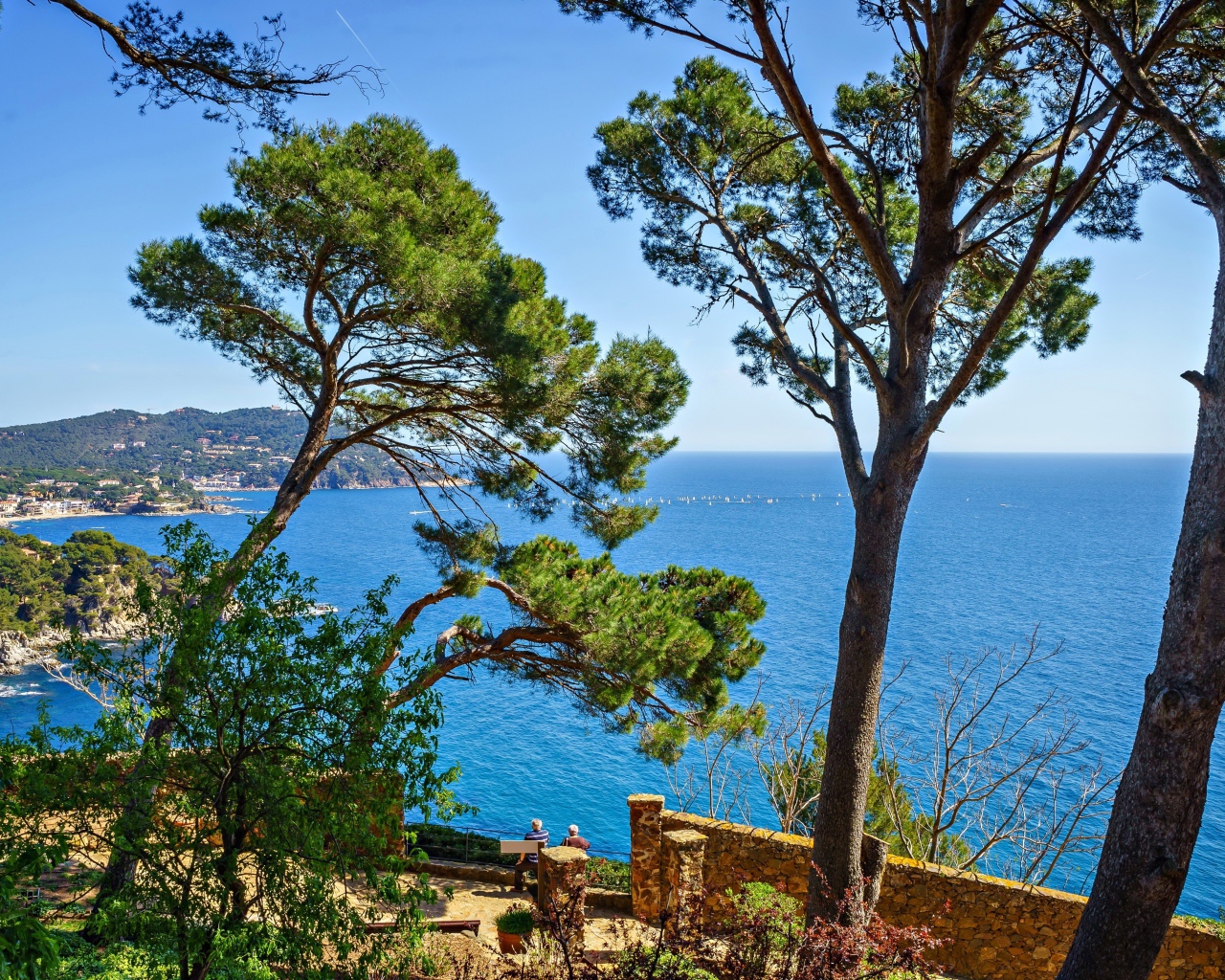 Высокие деревья на побережье на фоне моря, Испания