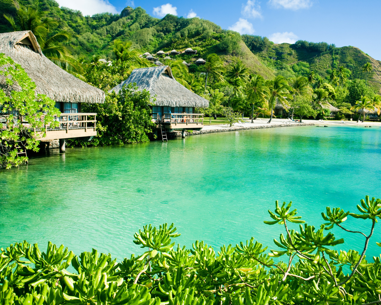 Дома на сваях на зеленом тропическом пляже