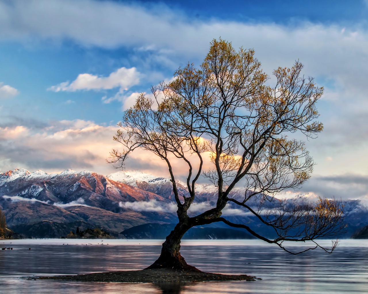 Island with a tree in the middle of the lake against the backdrop of the mountains