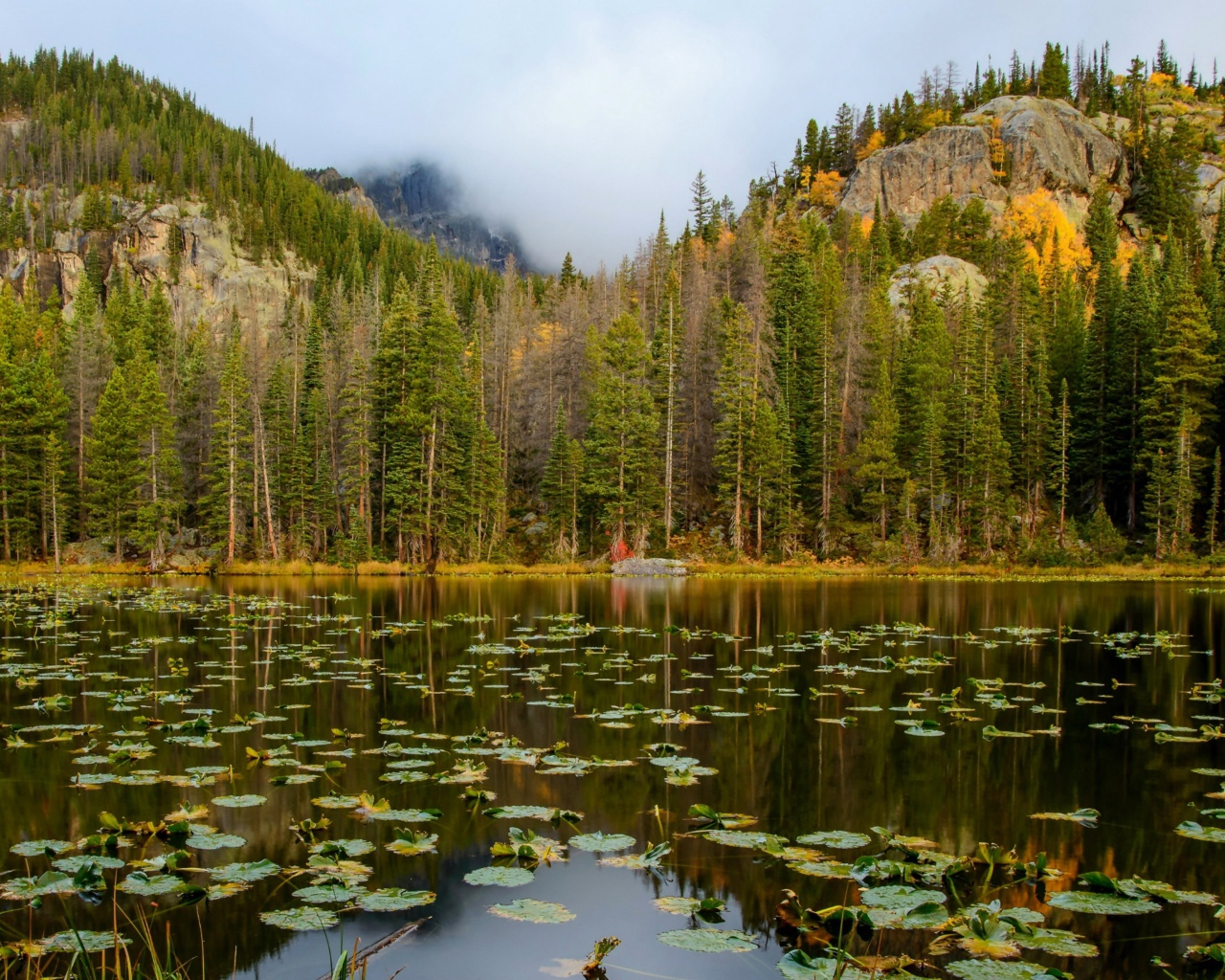 Озеро на фоне соснового леса у подножия гор