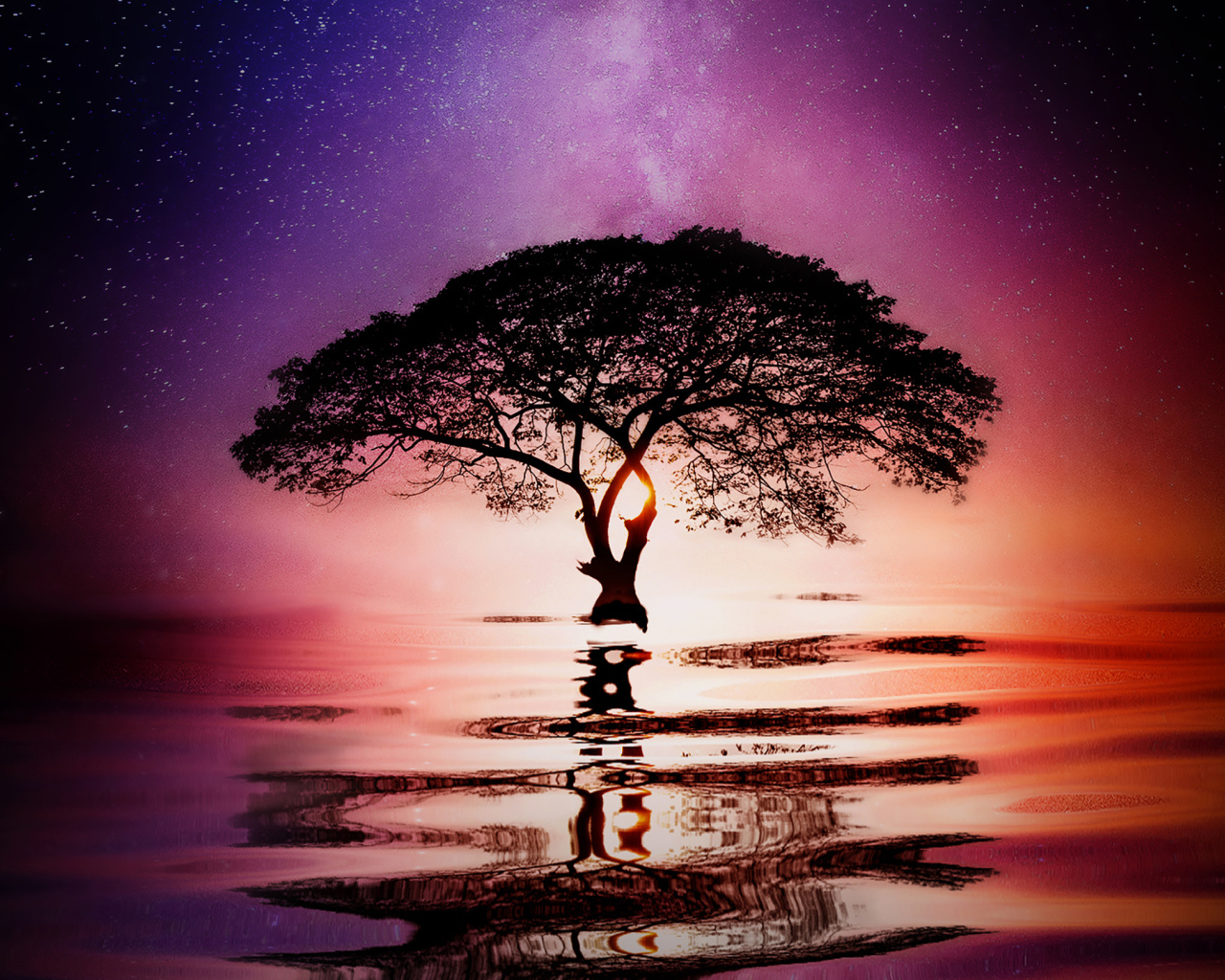 Большое ветвистое дерево в воде