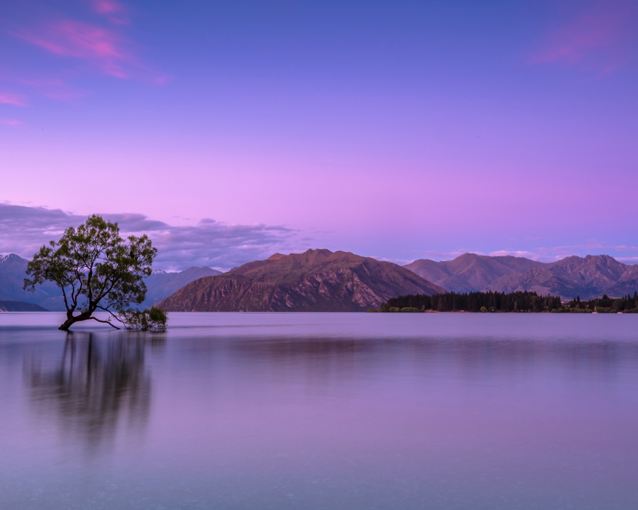 Одинокое дерево в воде на фоне гор на закате
