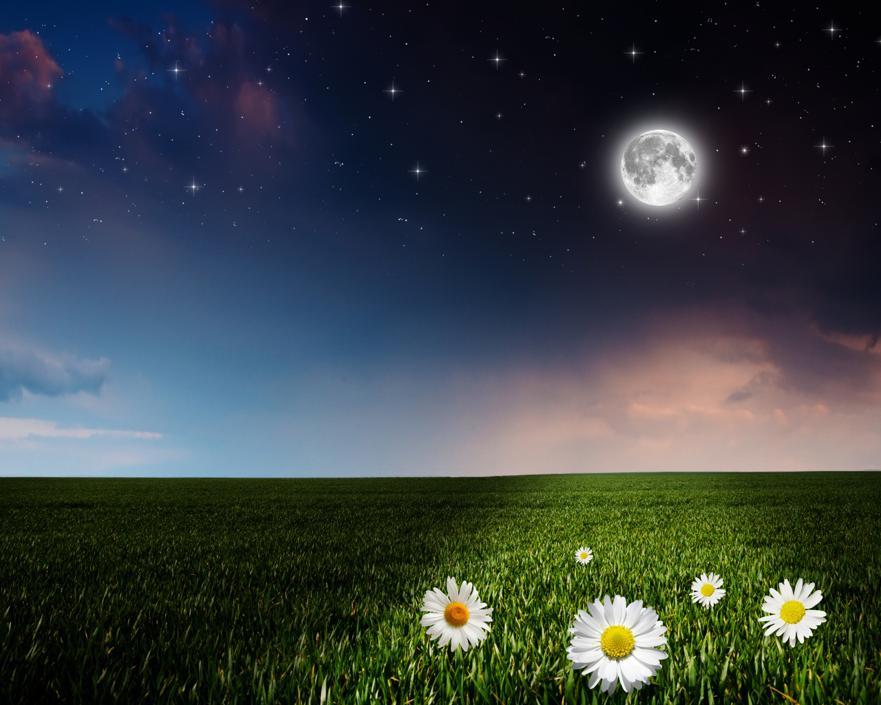 Moon over a green field with daisies