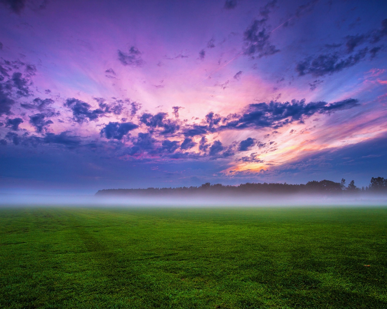 Утренний туман над полем под красивым небом