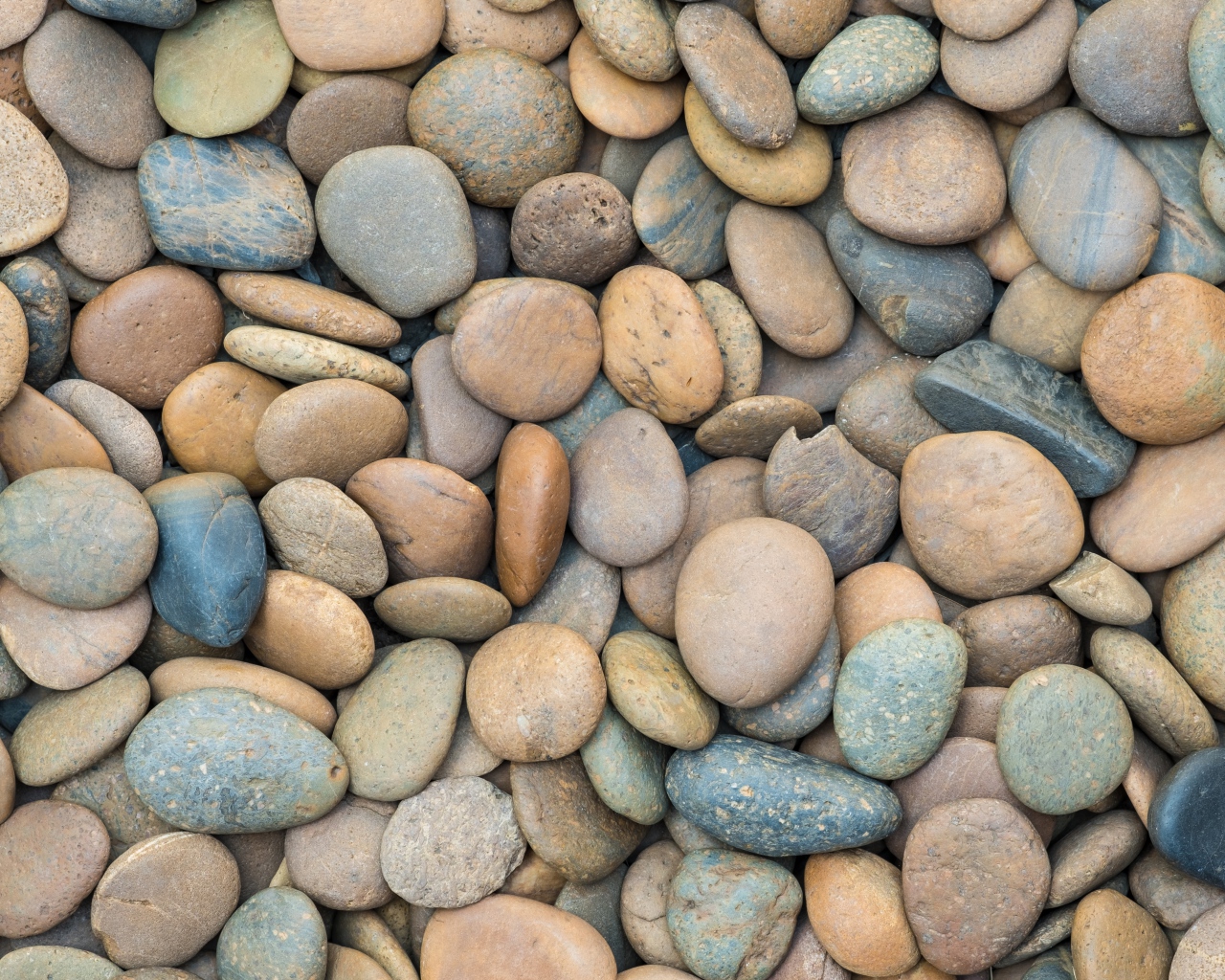 Разноцветные морские камни крупным планом