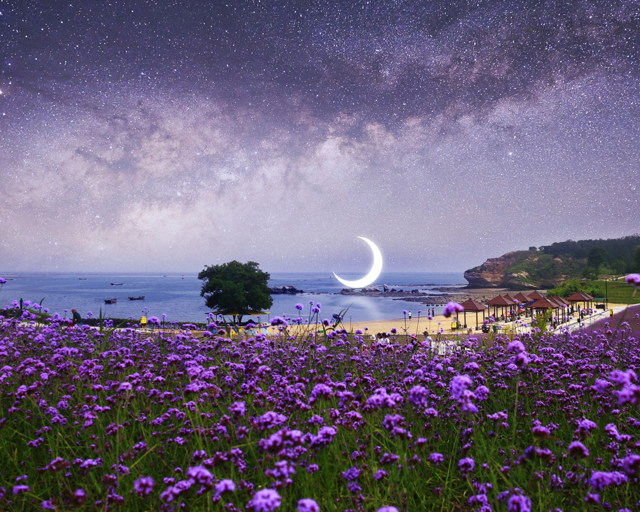 Фиолетовые полевые цветы на фоне ночного неба с большим месяцем 