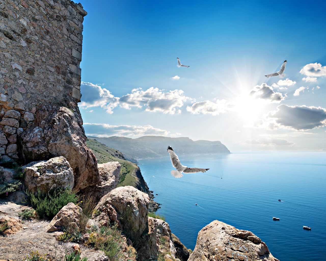 Чайки летают у скалы в лучах солнца под красивым голубым небом