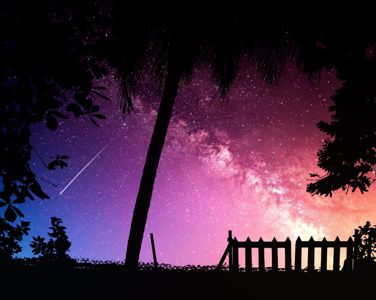 Силуэты деревьев на фоне звездного неба