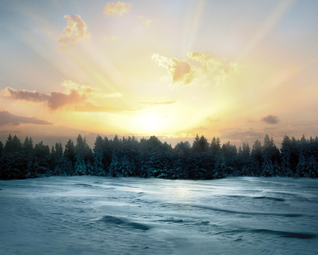 Восход солнца над заснеженным лесом