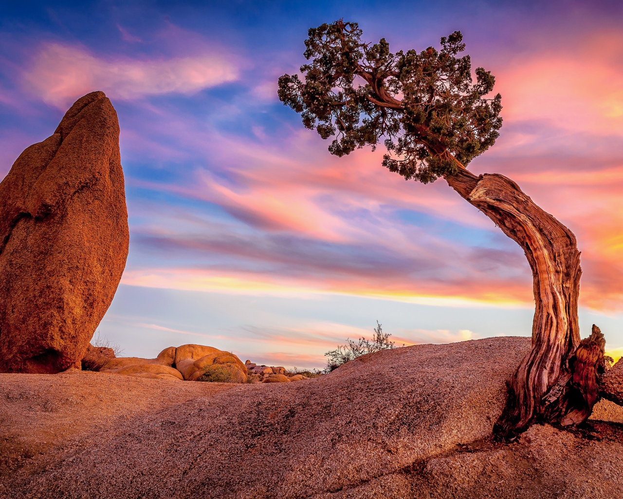 Природа национального парка Джошуа-Три, Калифорния. США
