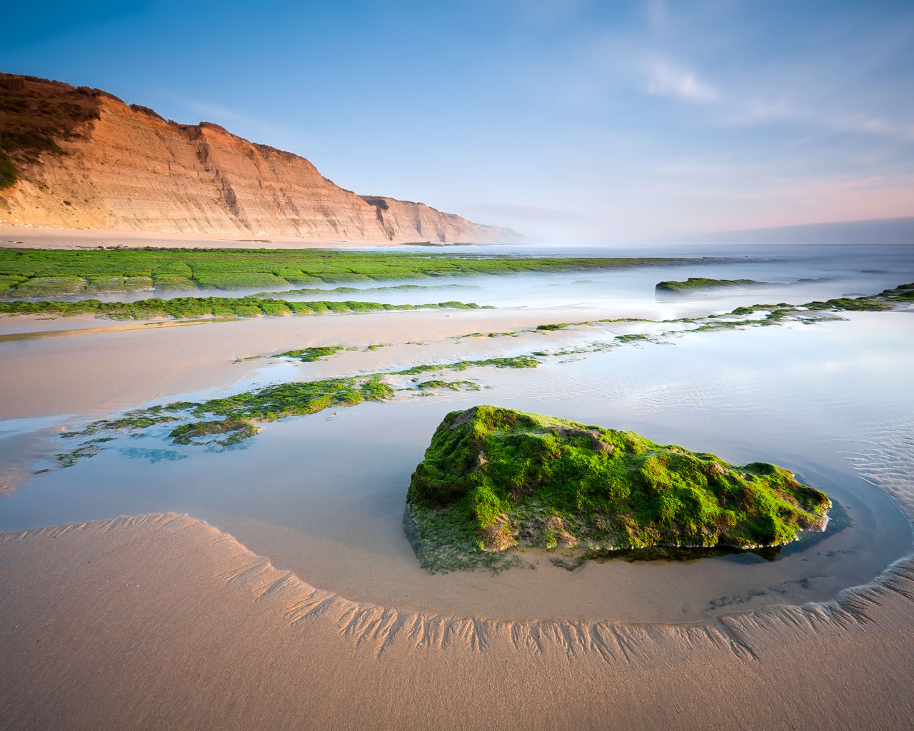 Камни на песчаном пляже покрыты зеленым мхом