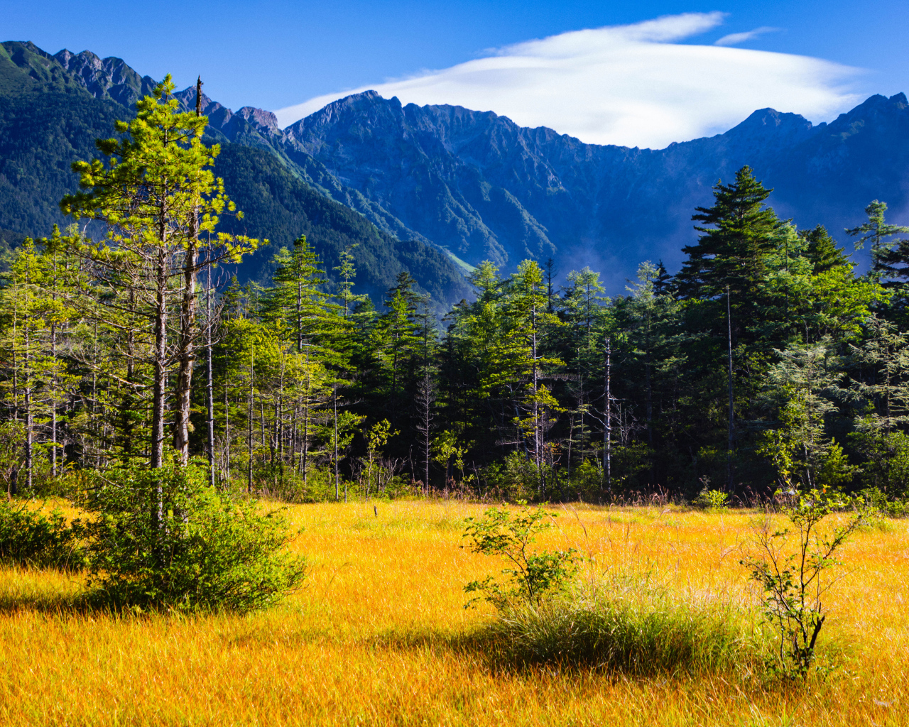 Вид на горы и лес под голубым небом, Япония