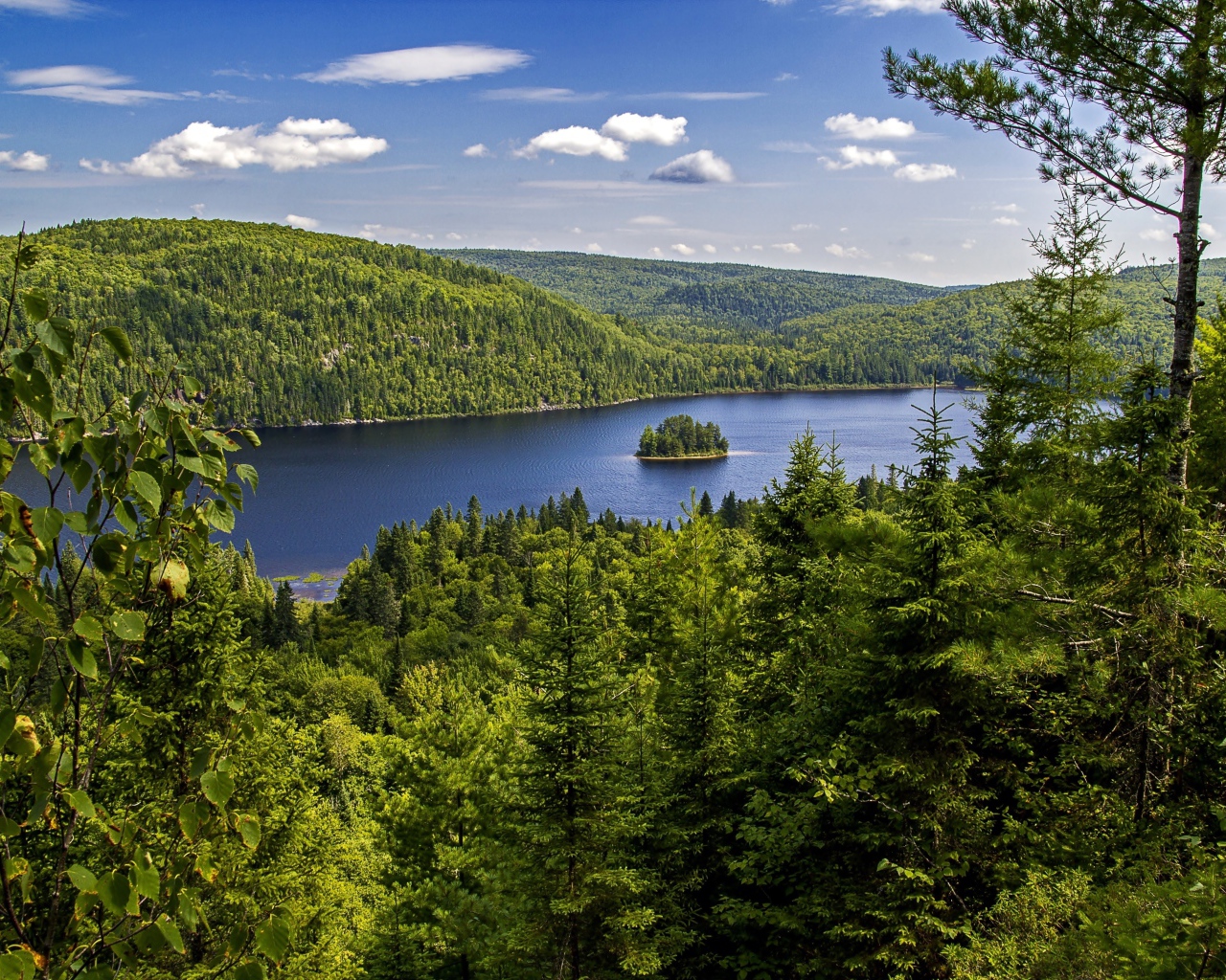 Вид на реку и лес под красивым голубым небом, национальный парк Ла-Мориси. Канада