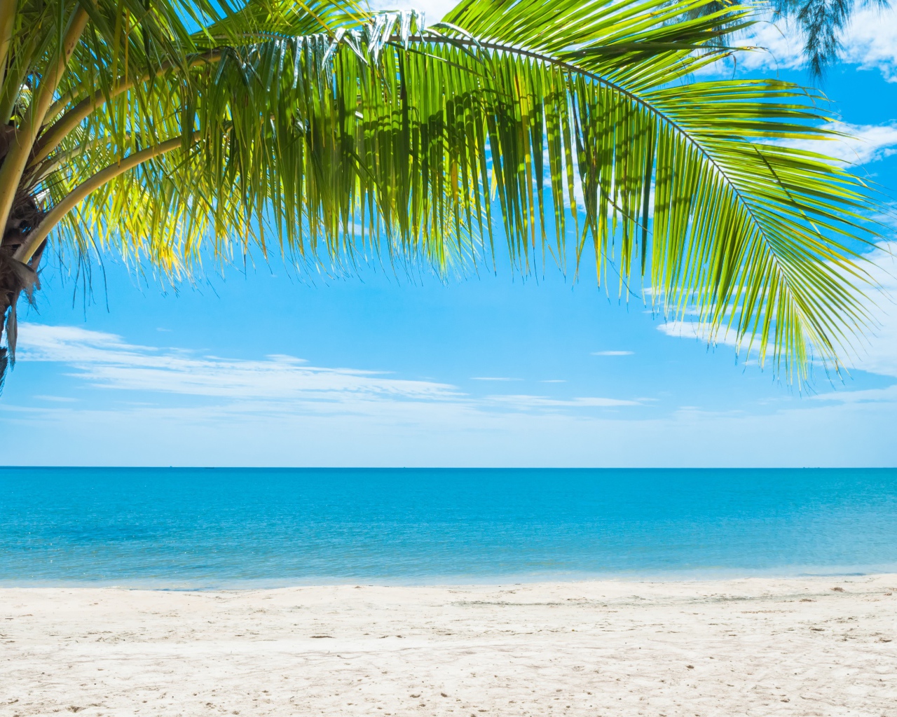 Красивый тропический пляж под голубым небом 