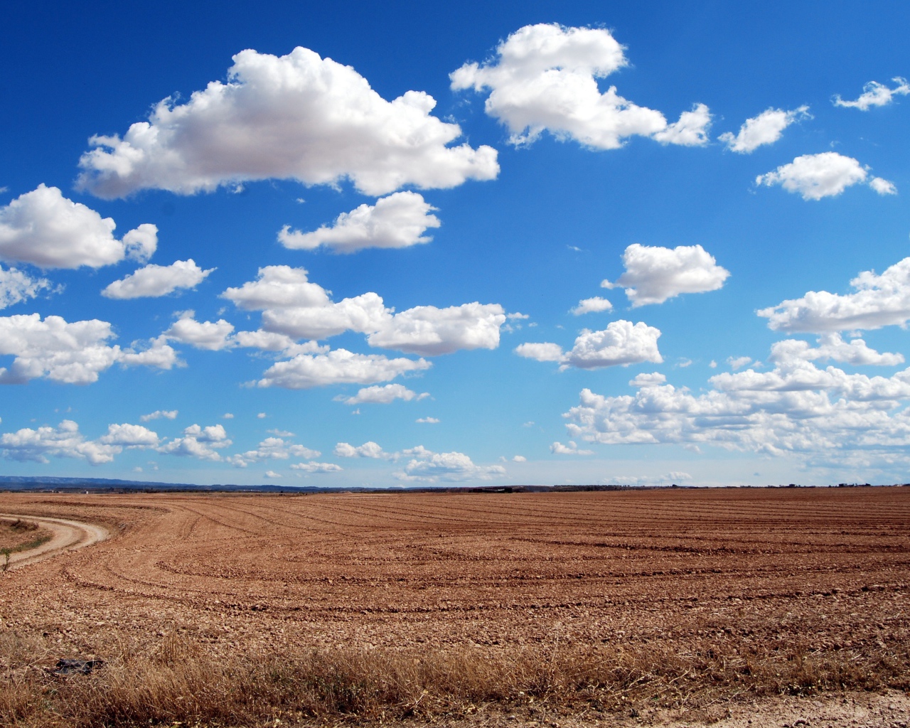 Белые пушистые облака в голубом небе над полем осенью 