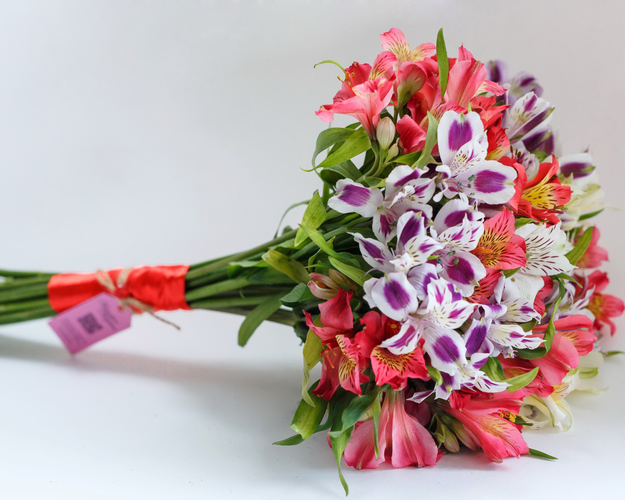 Букет цветов альстромерия на сером фоне 