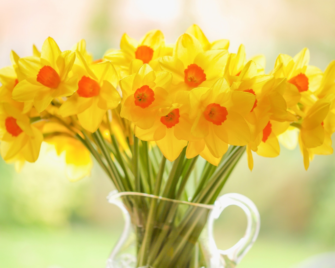 Букет желтых нарциссов в стеклянной вазе