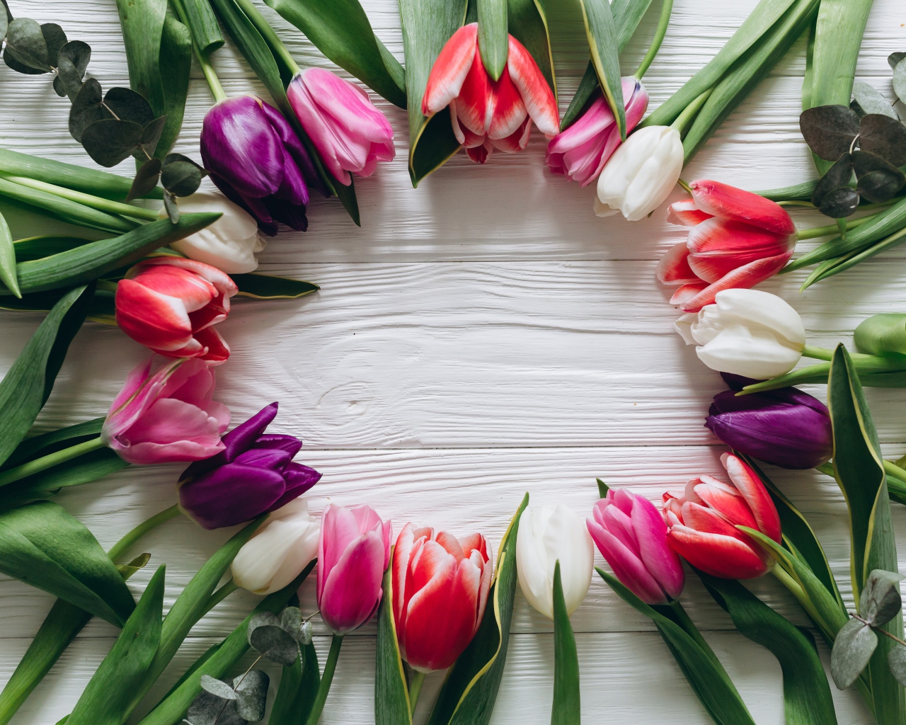 Круг из разноцветных тюльпанов на столе 