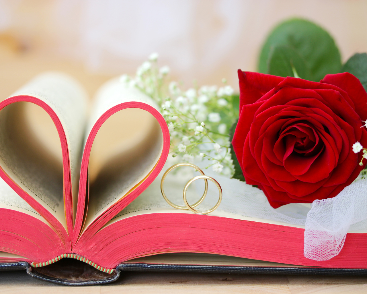 Красная роза на книге с сердцем из страниц и золотыми обручальными кольцами