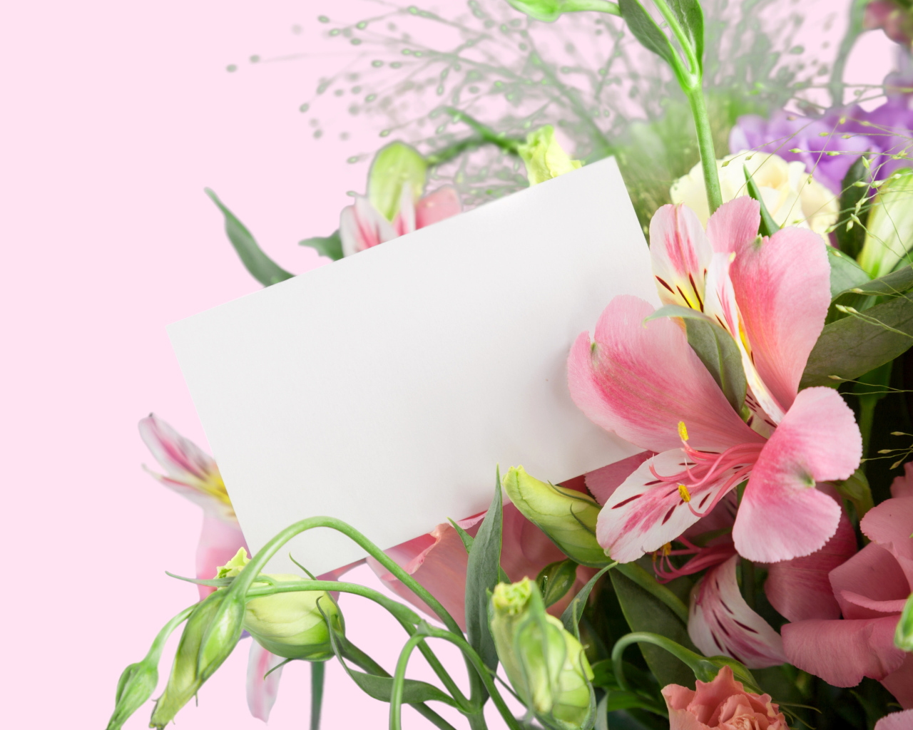 Альстрёмерия с белым листом бумаги, шаблон для открытки