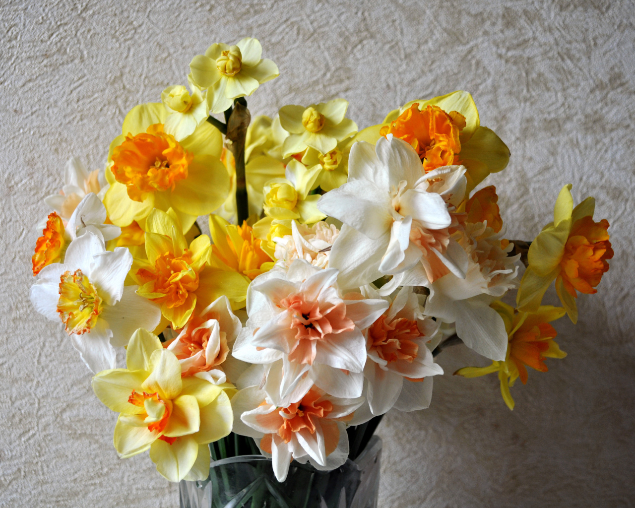 Красивый букет разноцветных нарциссов