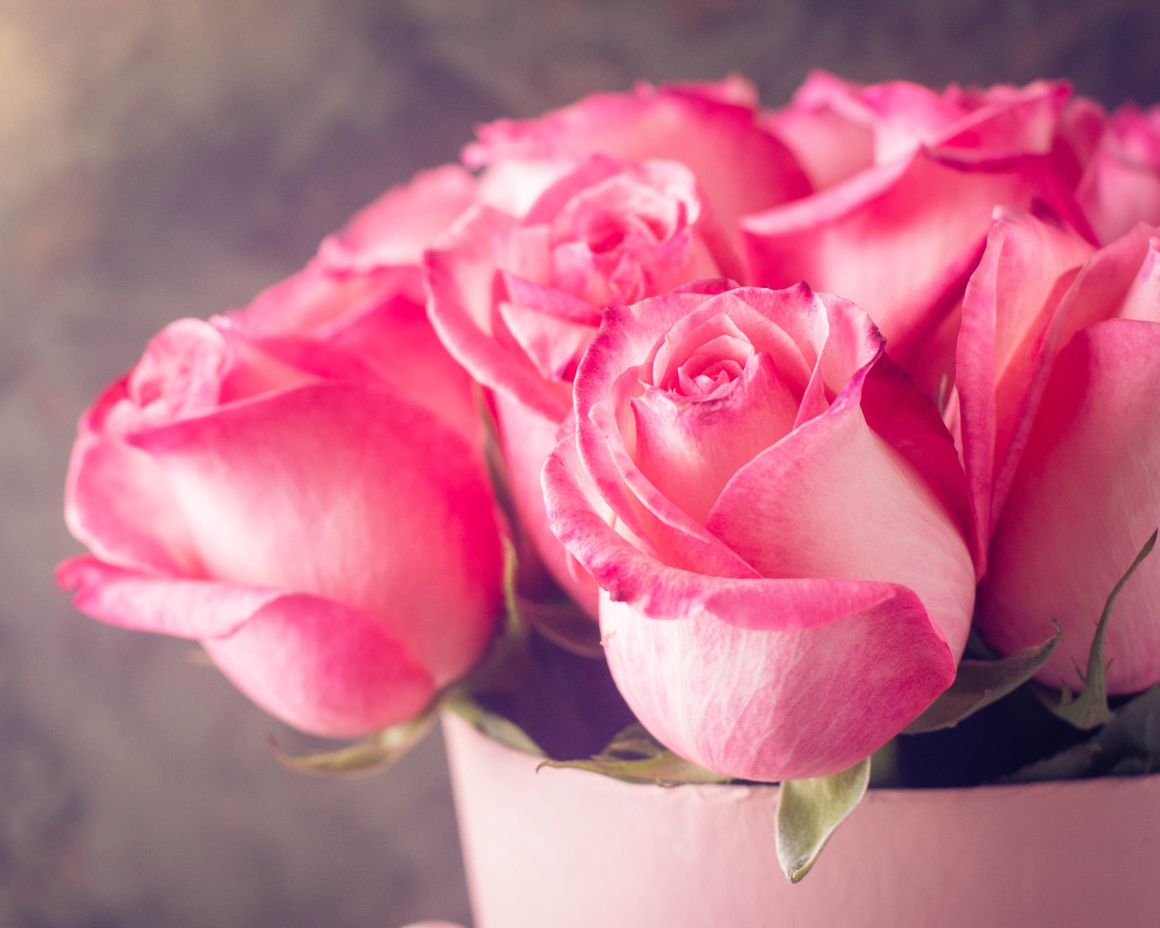 Красивый букет нежных розовых роз крупным планом