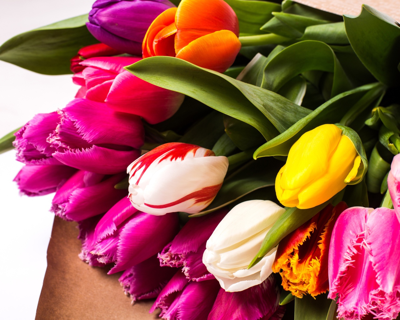 Красивый букет разноцветных тюльпанов крупных планом