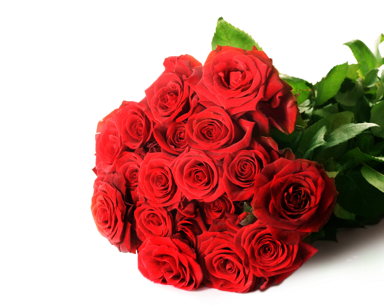Красивый букет красных роз на белом фоне