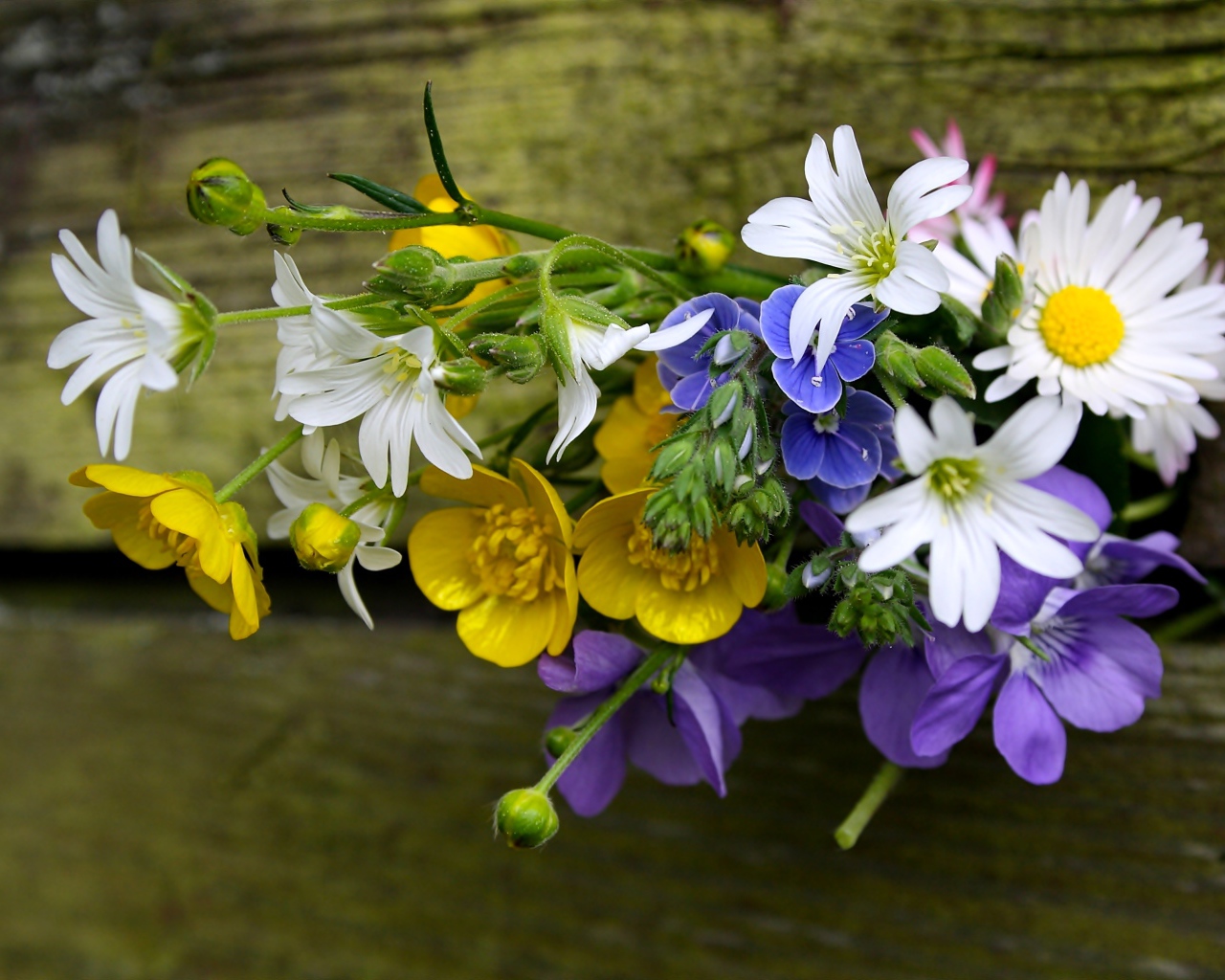 Красивый букет полевых цветов