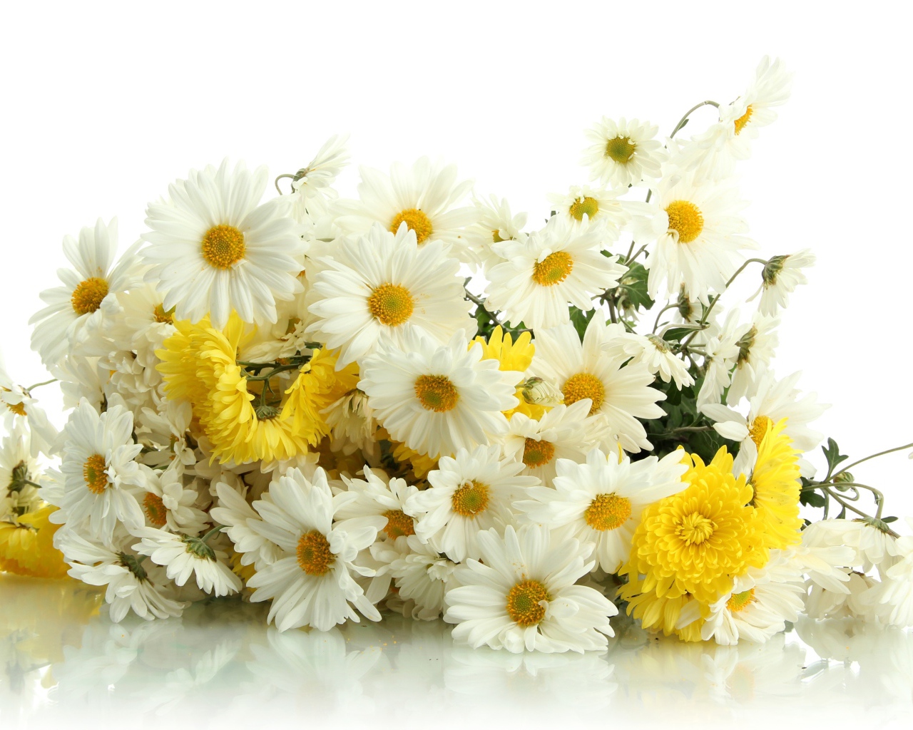 Красивый букет желтых и белых хризантем на белом фоне
