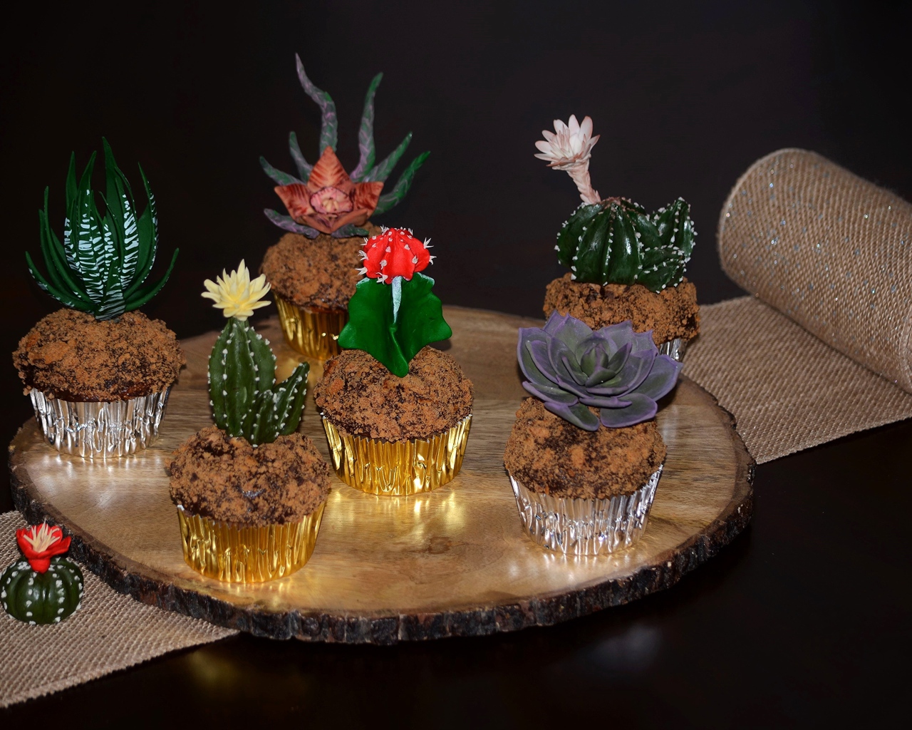 Красивые цветущие комнатные кактусы