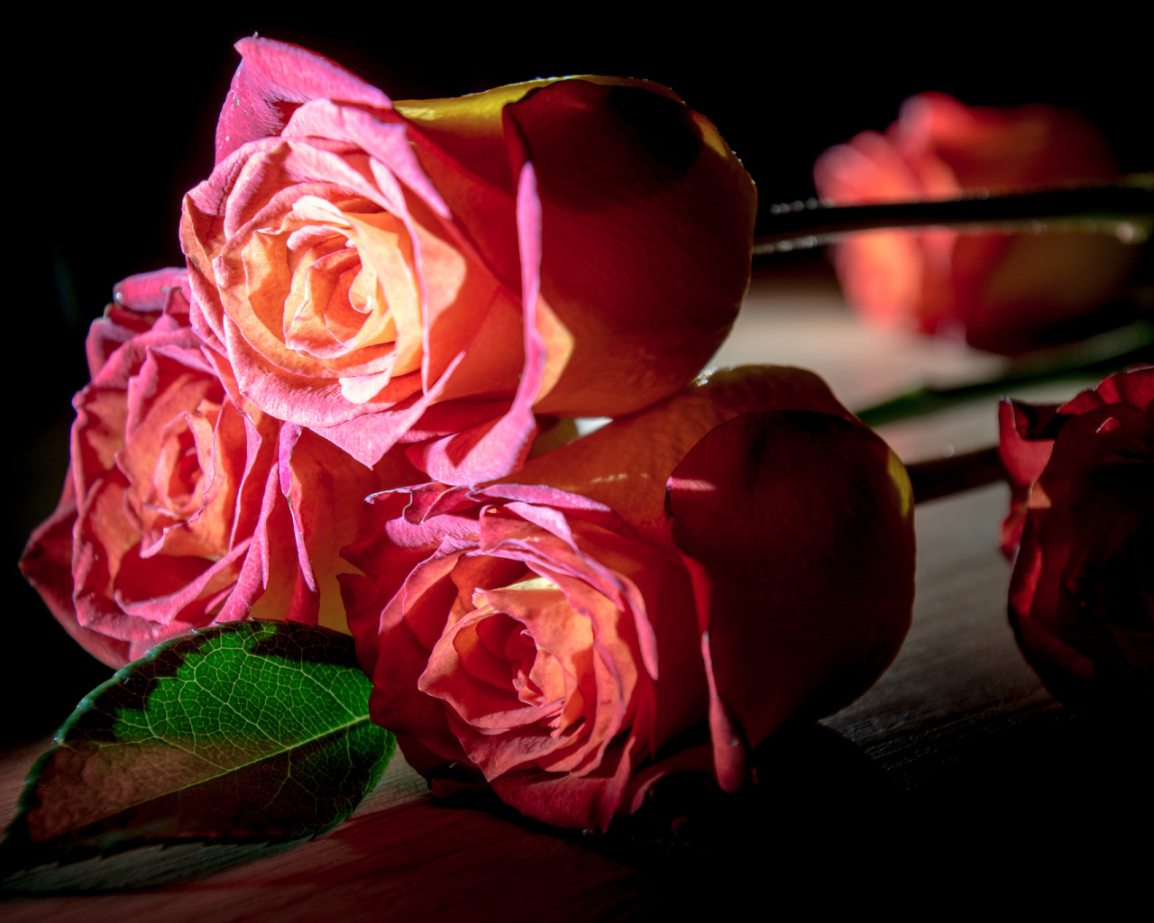 Красивые розовые розы на деревянном столе