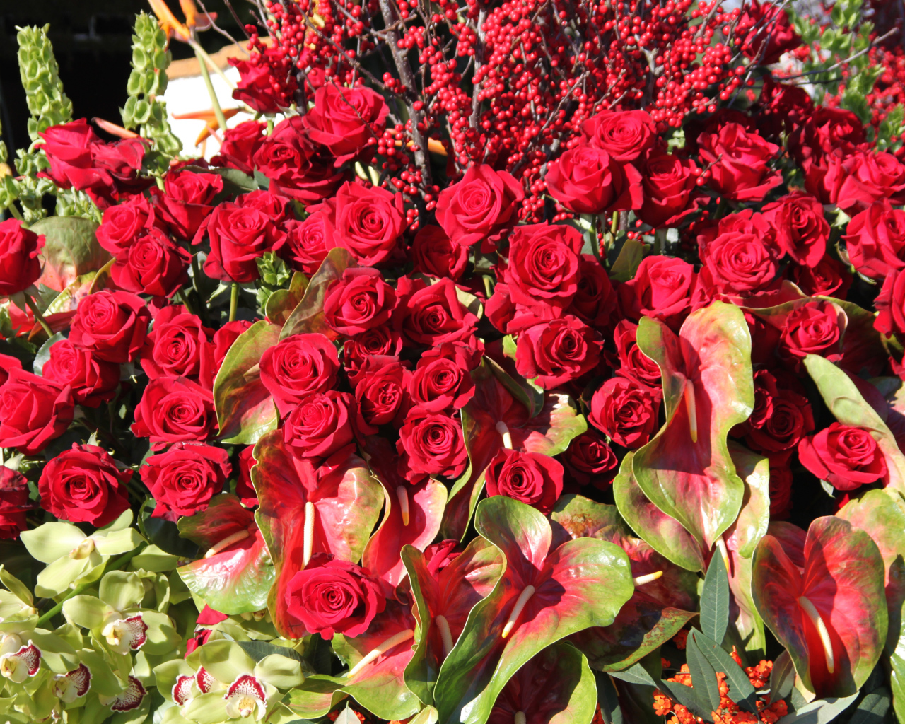 Красивые красные розы с цветами антуриум