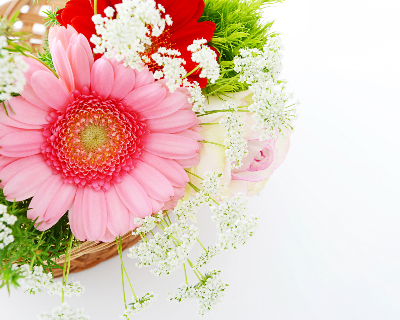 Красивый нежный букет с цветами герберы на белом фоне