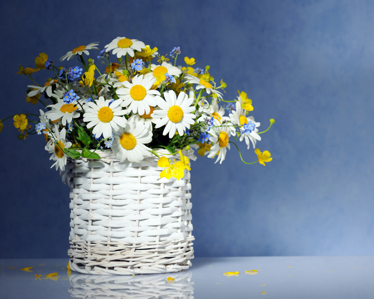 Красивые нежные ромашки и незабудки в плетеной вазе
